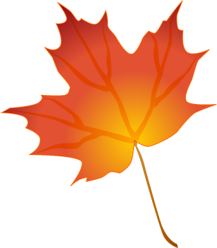 Maple_autumn-leaf305